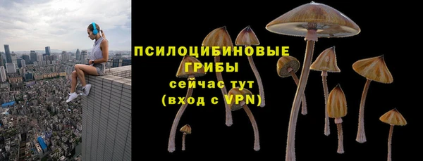 кокс Алзамай