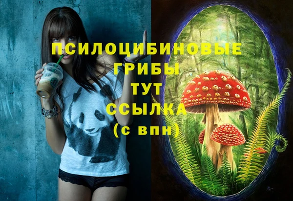 a pvp Алексин