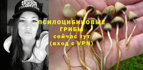 a pvp Алексин
